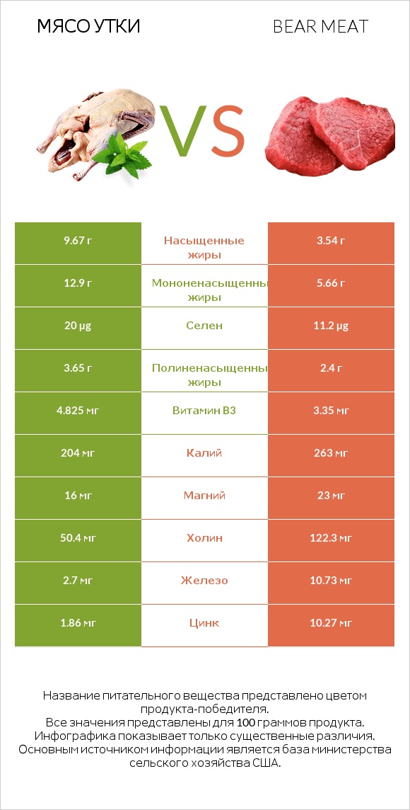 Мясо утки vs Bear meat infographic