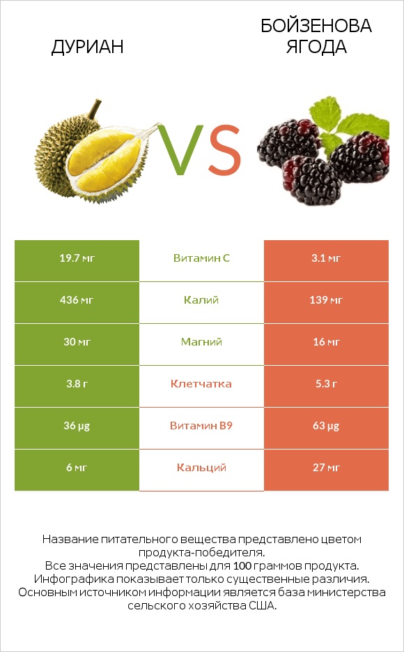 Дуриан vs Бойзенова ягода infographic