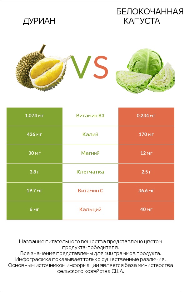 Дуриан vs Белокочанная капуста infographic