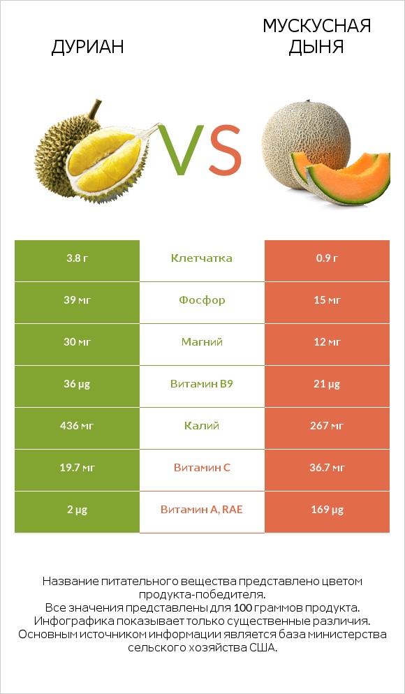 Дуриан vs Мускусная дыня infographic