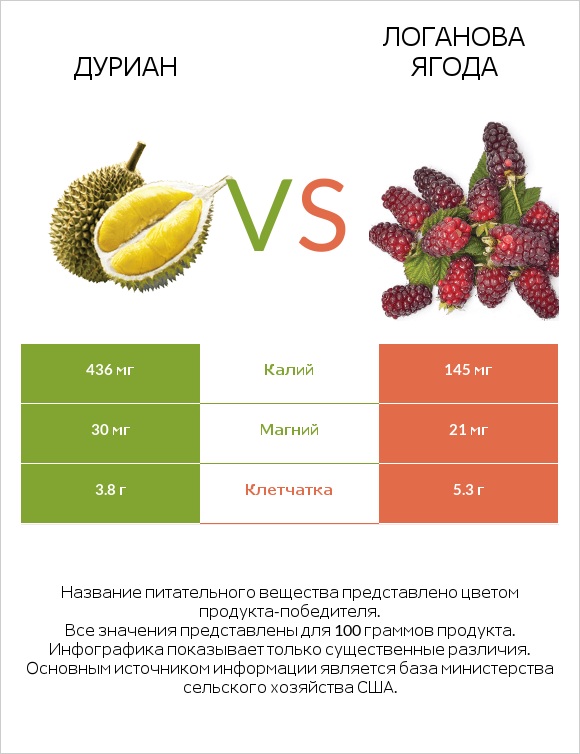 Дуриан vs Логанова ягода infographic