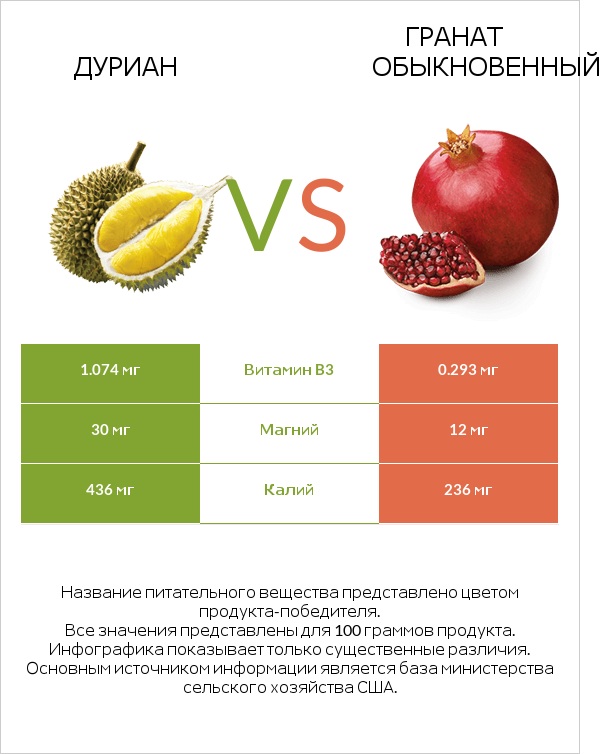 Дуриан vs Гранат обыкновенный infographic