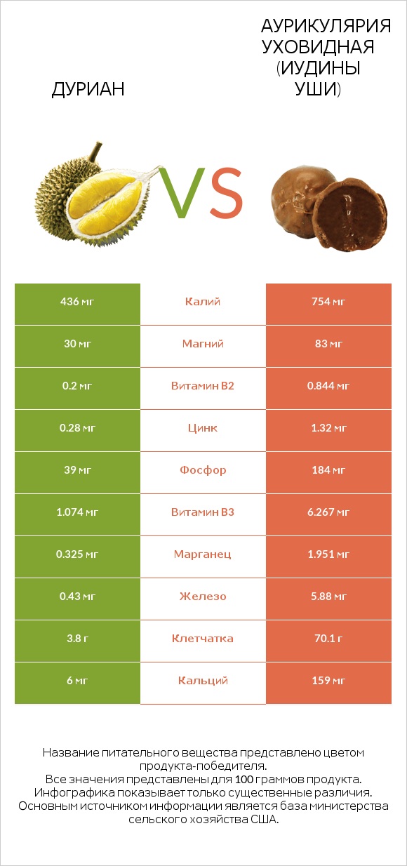 Дуриан vs Аурикулярия уховидная (Иудины уши) infographic