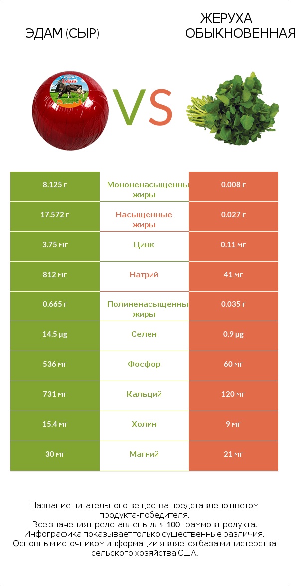 Эдам (сыр) vs Жеруха обыкновенная infographic