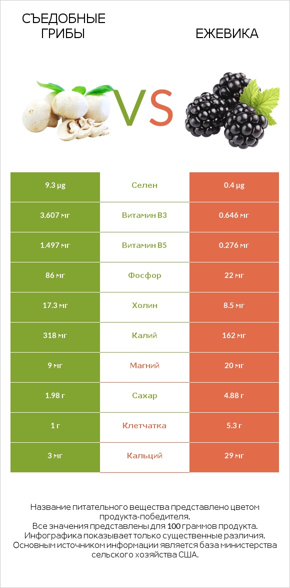 Съедобные грибы vs Ежевика infographic