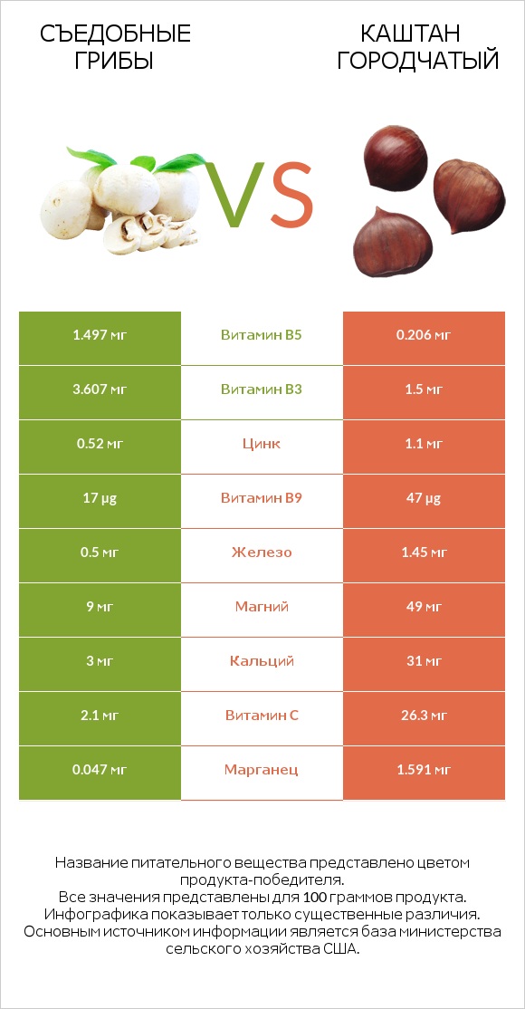 Съедобные грибы vs Каштан городчатый infographic