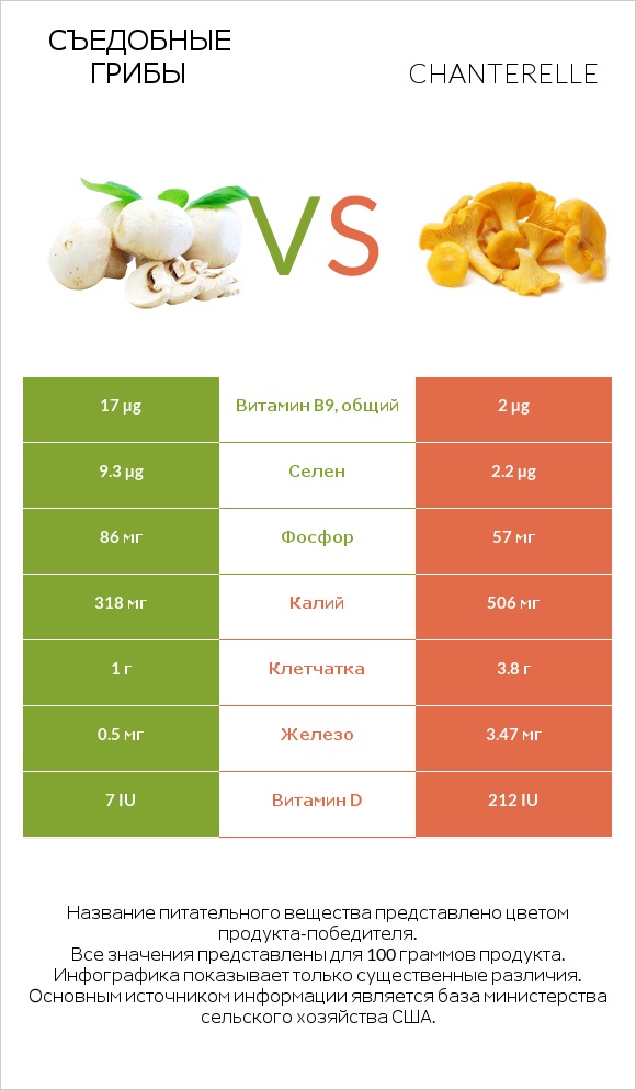 Съедобные грибы vs Лисичка обыкновенная infographic