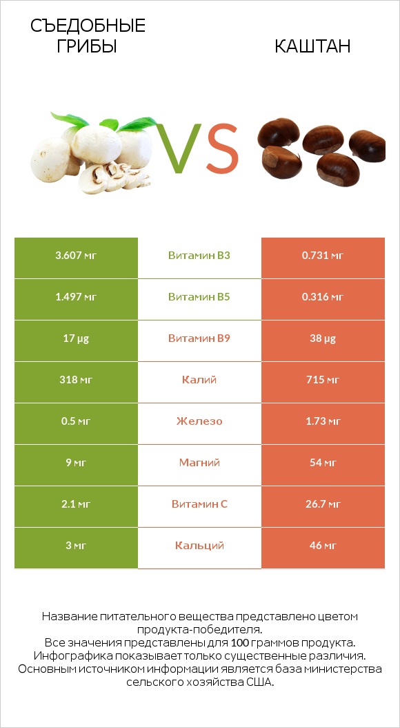 Съедобные грибы vs Каштан infographic