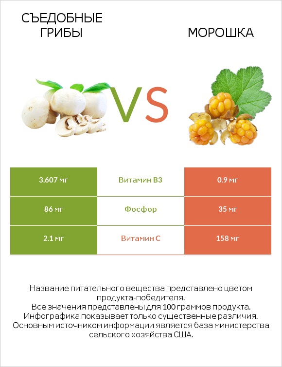 Съедобные грибы vs Морошка infographic