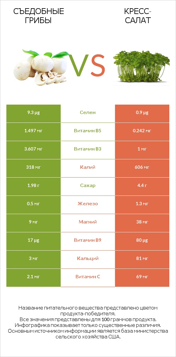 Съедобные грибы vs Кресс-салат infographic
