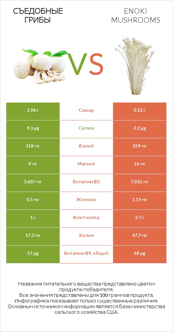 Съедобные грибы vs Enoki mushrooms infographic