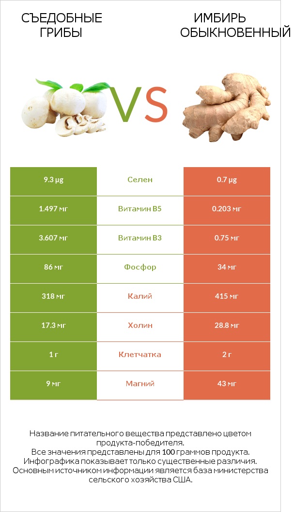 Съедобные грибы vs Имбирь обыкновенный infographic