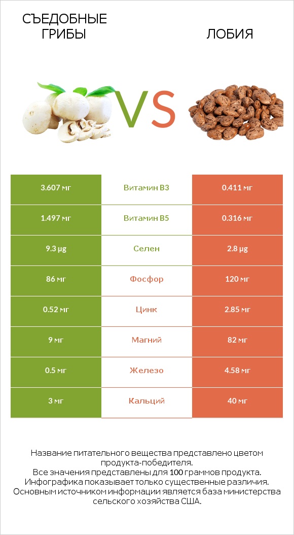 Съедобные грибы vs Лобия infographic