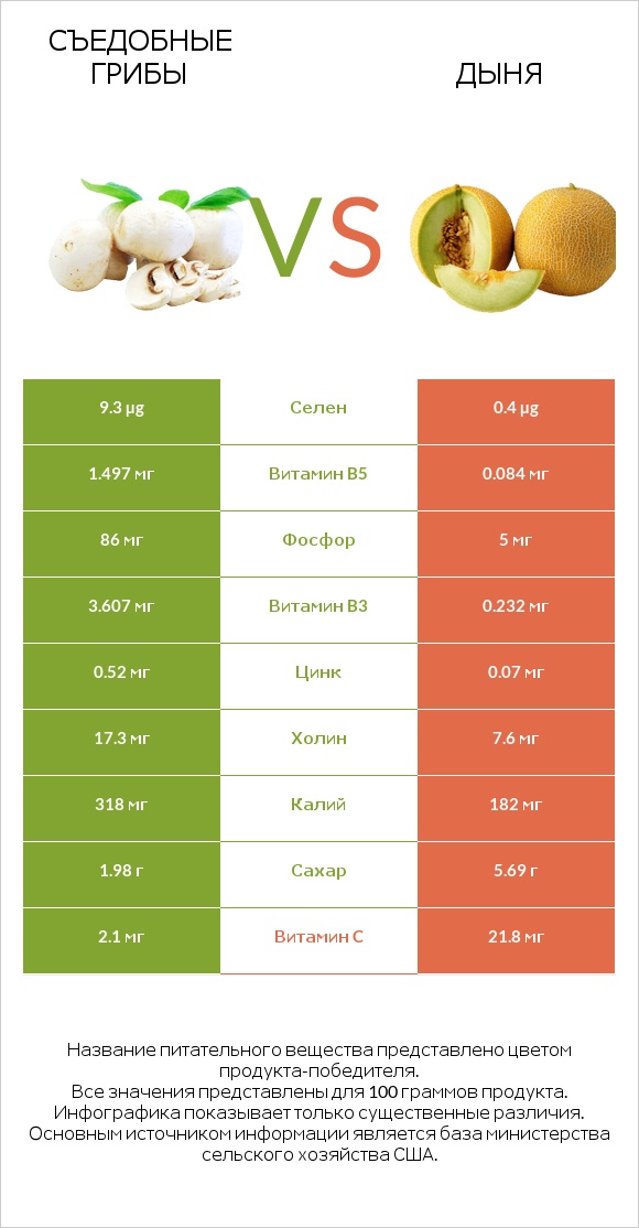 Съедобные грибы vs Дыня infographic