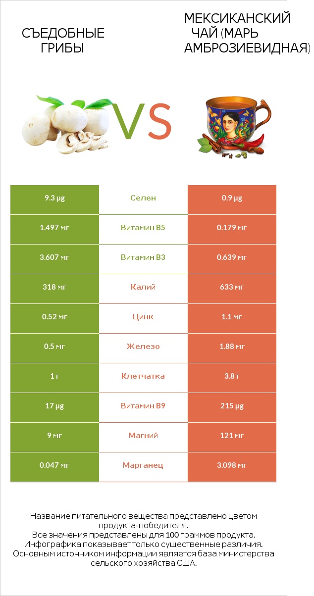 Съедобные грибы vs Мексиканский чай (Марь амброзиевидная) infographic