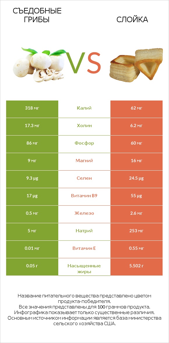 Съедобные грибы vs Слойка infographic