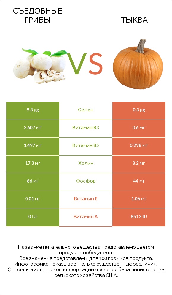Съедобные грибы vs Тыква infographic