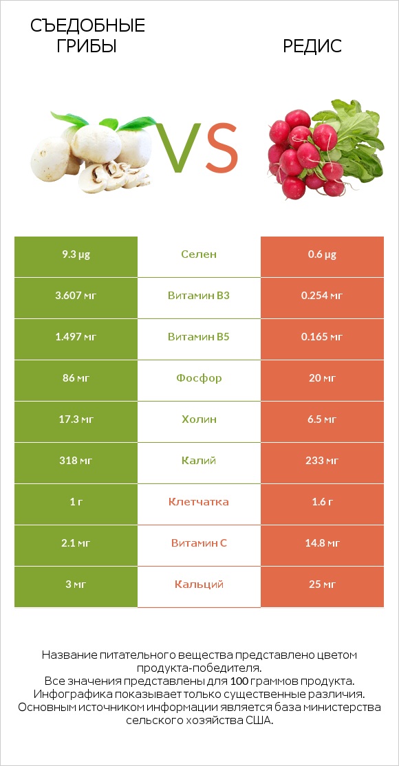 Съедобные грибы vs Редис infographic