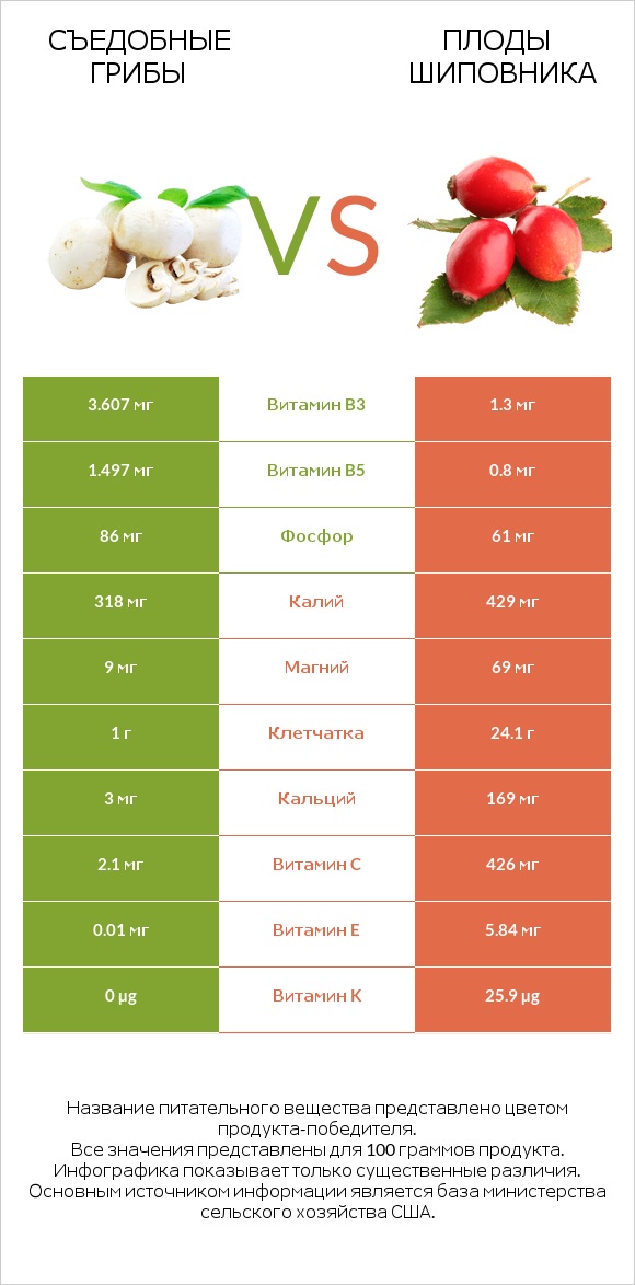 Съедобные грибы vs Плоды шиповника infographic