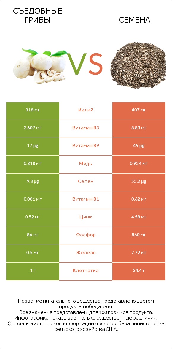 Съедобные грибы vs Семена infographic
