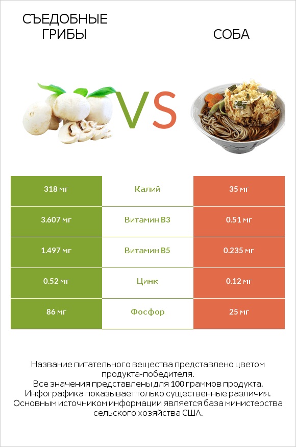 Съедобные грибы vs Соба infographic