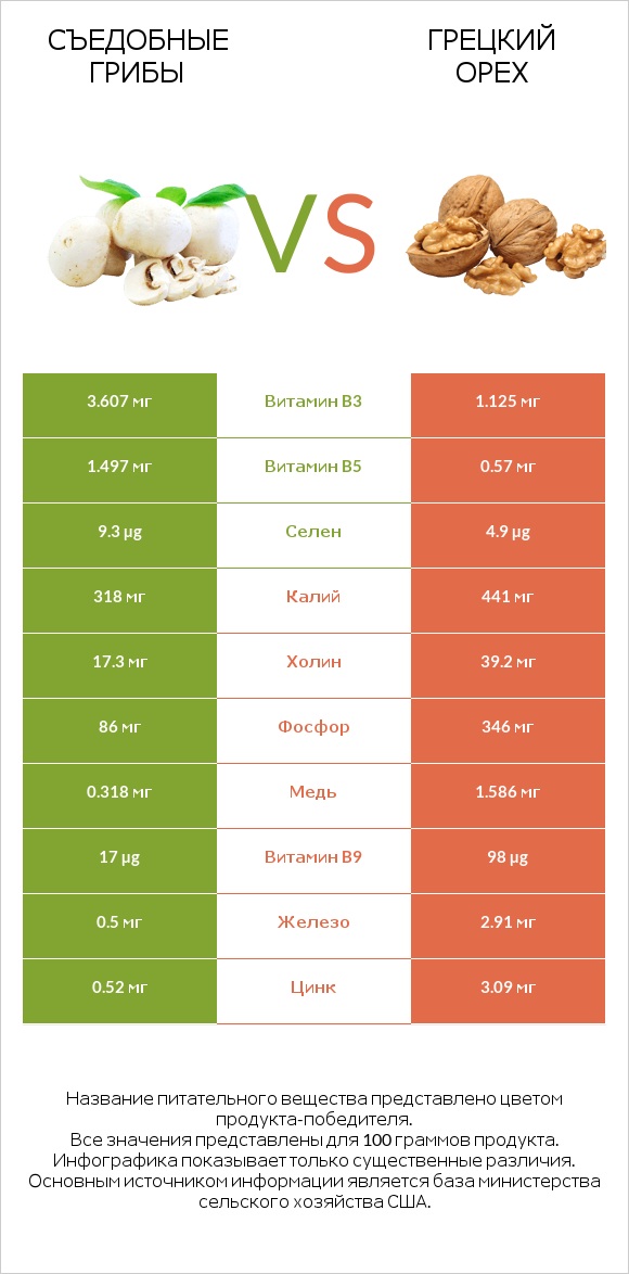 Съедобные грибы vs Грецкий орех infographic