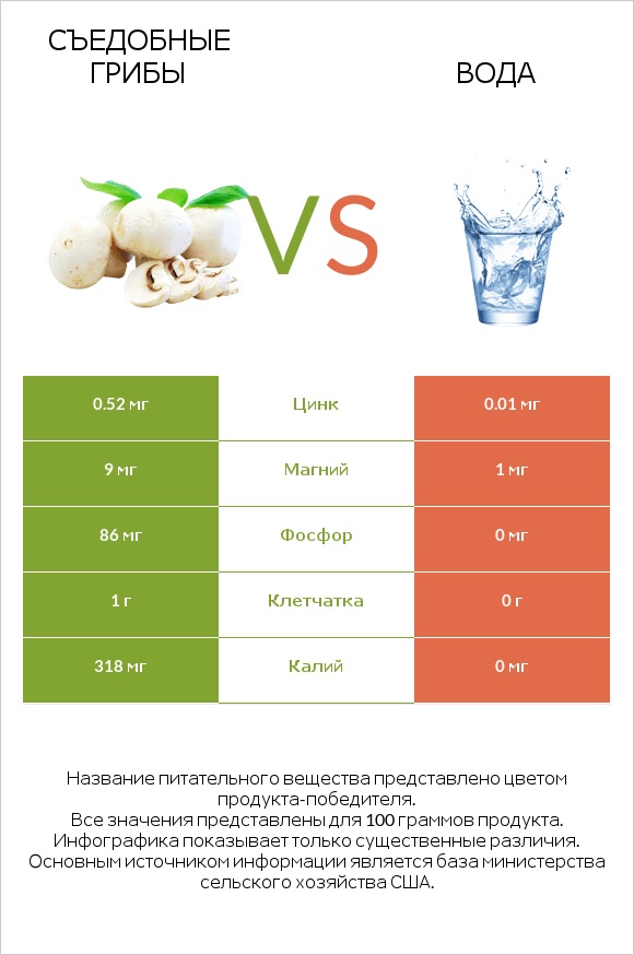 Съедобные грибы vs Вода infographic