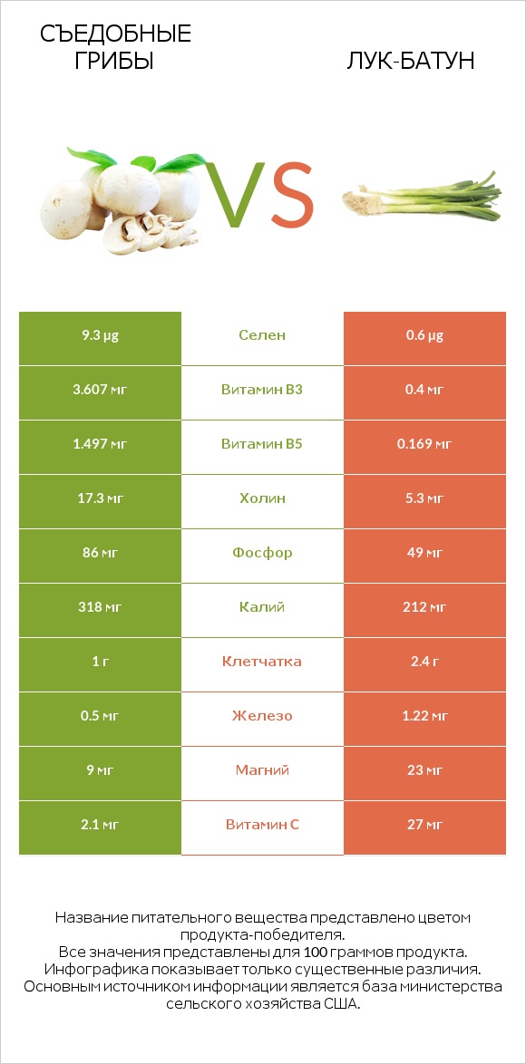 Съедобные грибы vs Лук-батун infographic