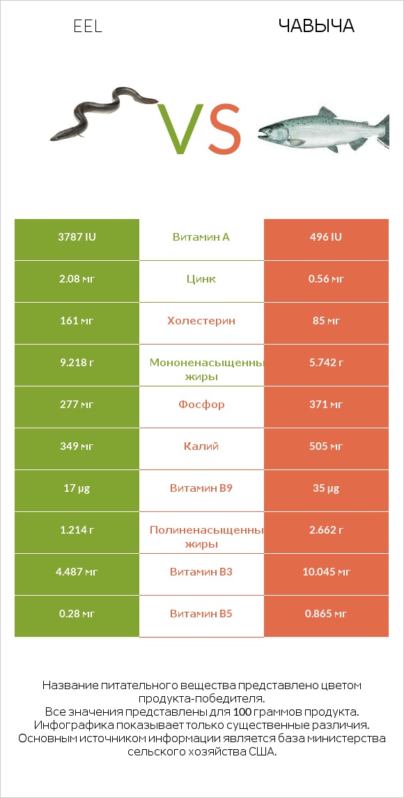 Eel vs Чавыча infographic