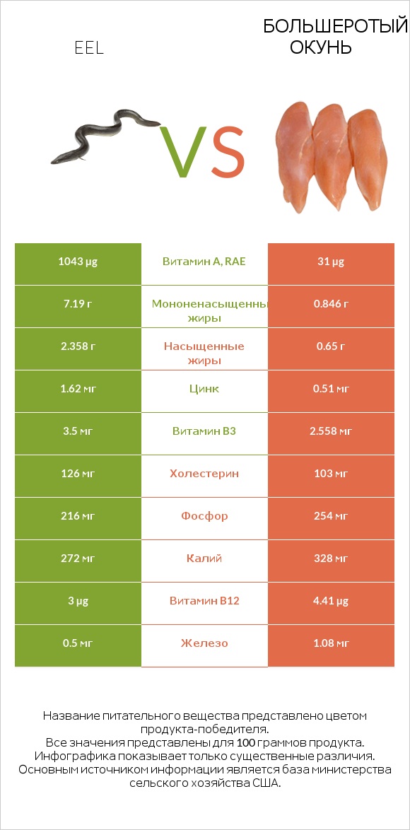 Eel vs Большеротый окунь infographic