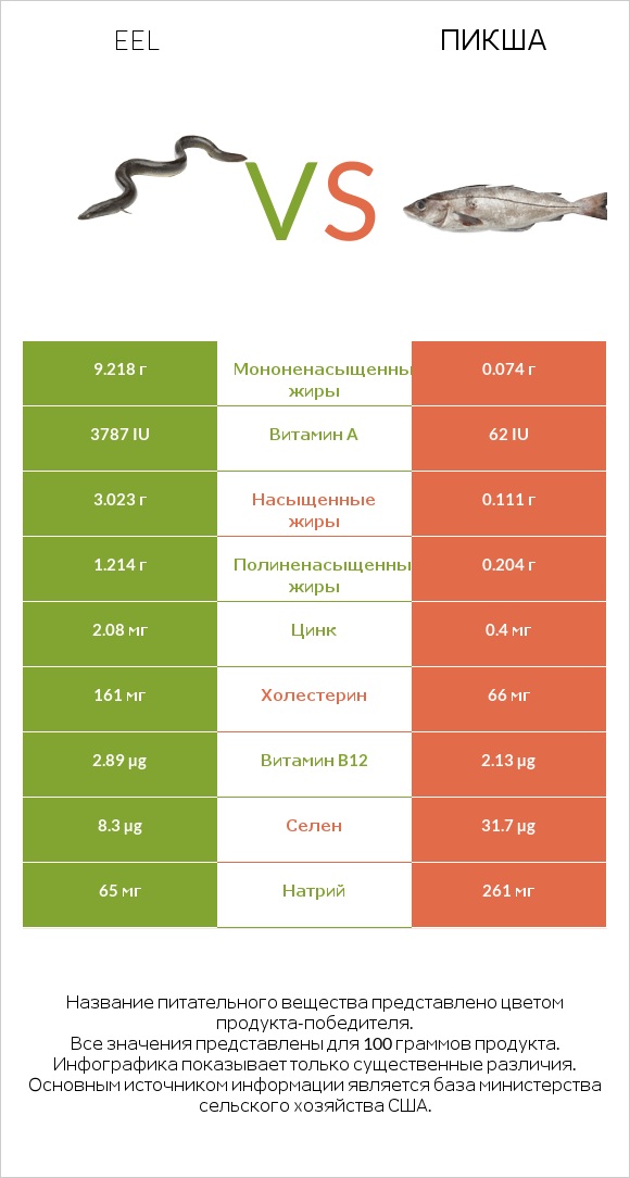 Eel vs Пикша infographic