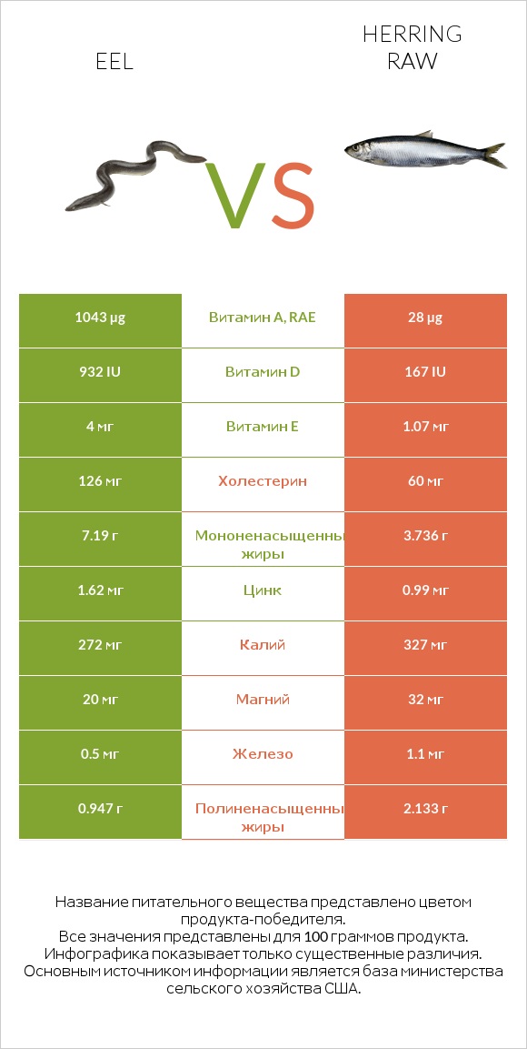 Eel vs Herring raw infographic