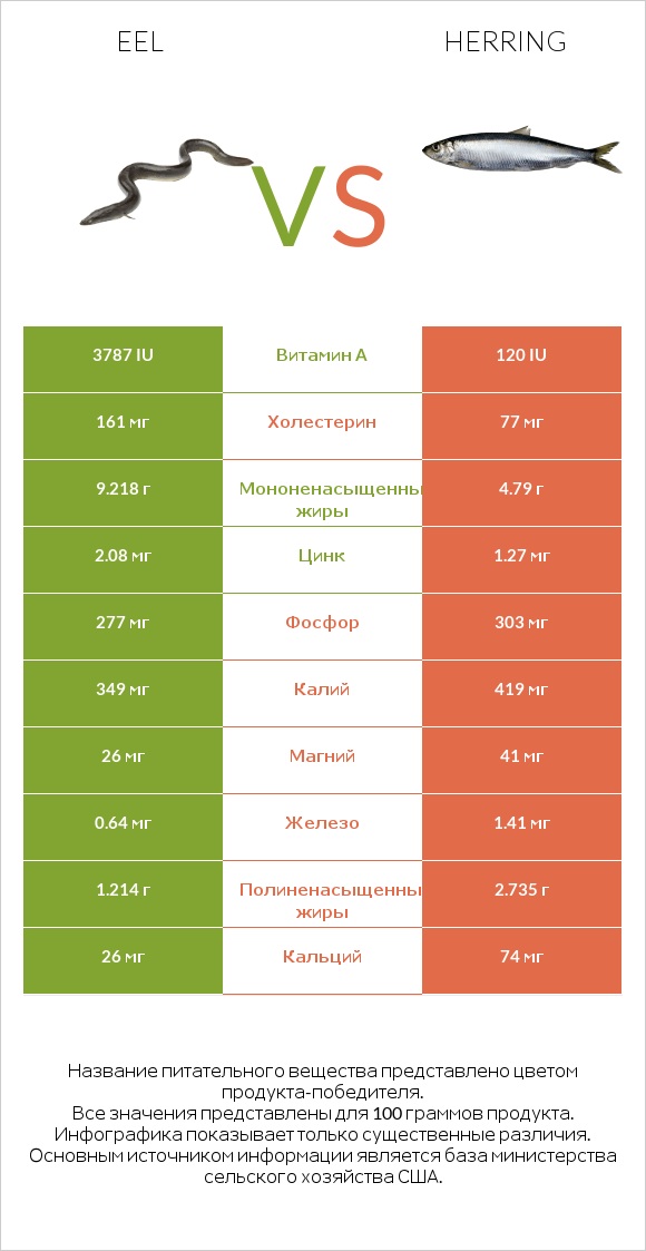 Eel vs Herring infographic