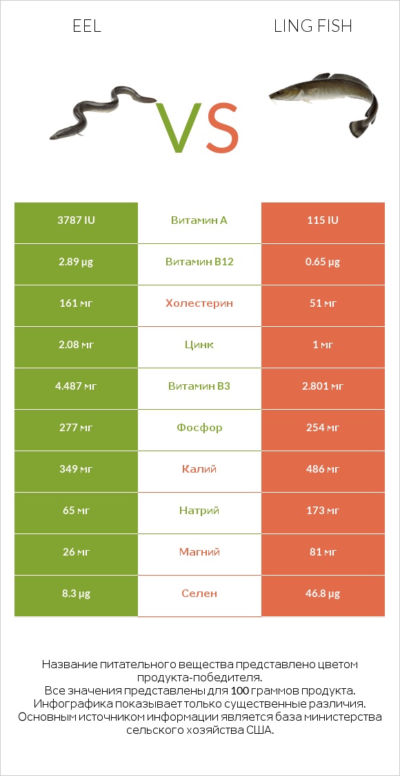 Eel vs Ling fish infographic