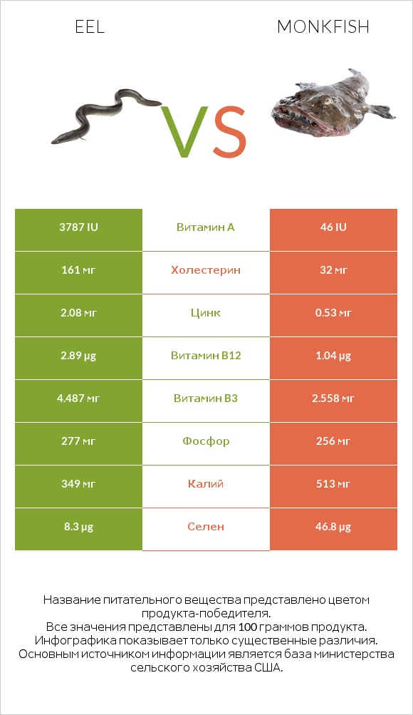 Eel vs Monkfish infographic