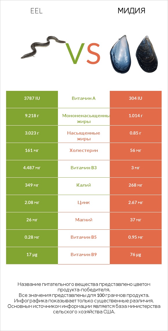 Eel vs Мидия infographic