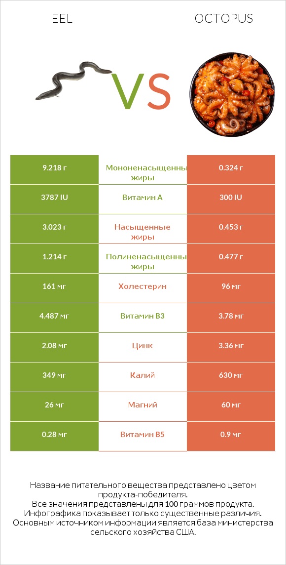 Eel vs Octopus infographic