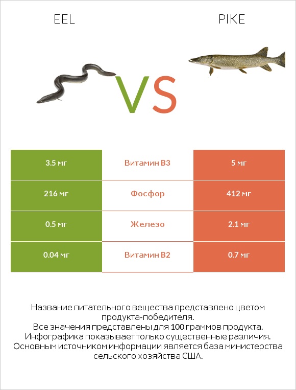Eel vs Pike infographic