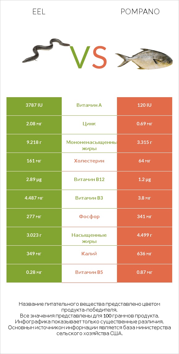 Eel vs Pompano infographic