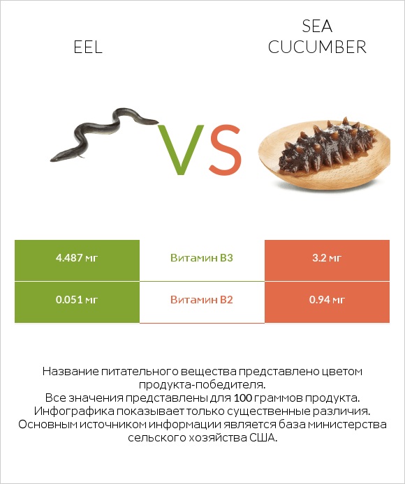 Eel vs Sea cucumber infographic