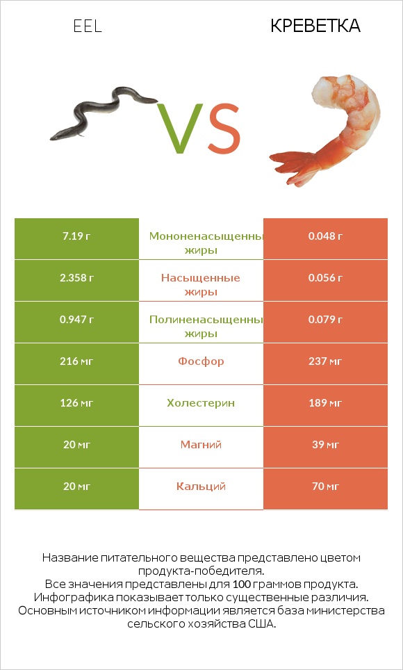 Eel vs Креветка infographic