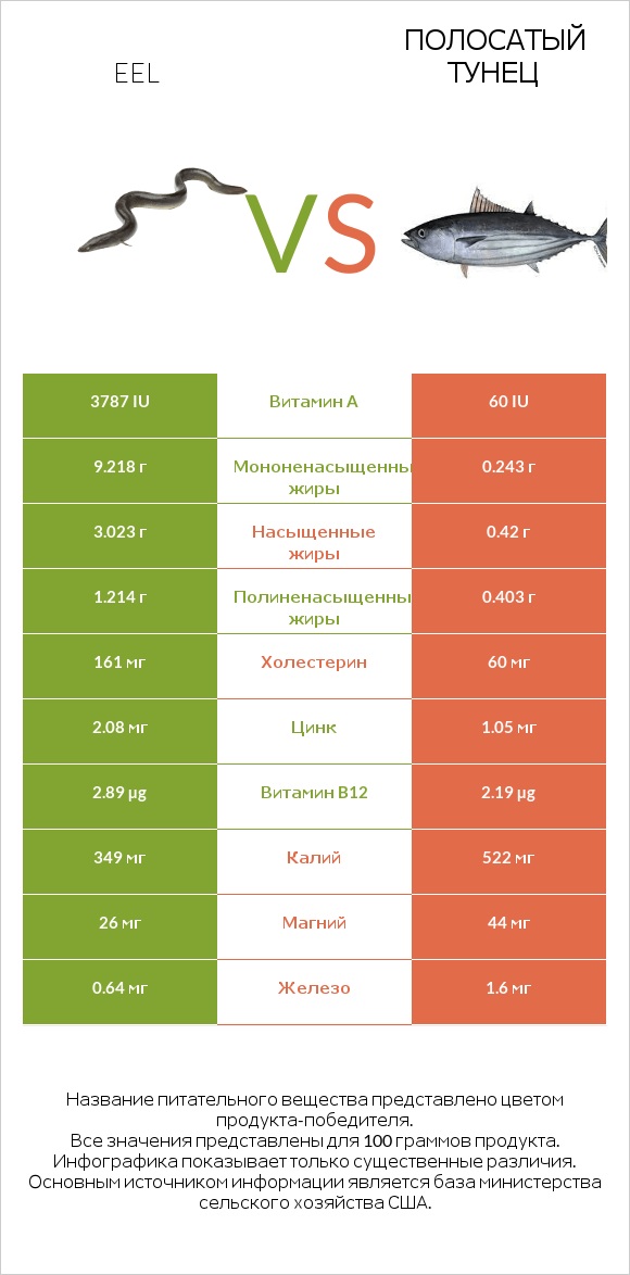 Eel vs Полосатый тунец infographic