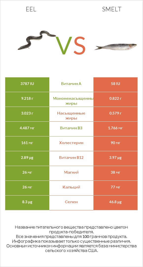 Eel vs Smelt infographic