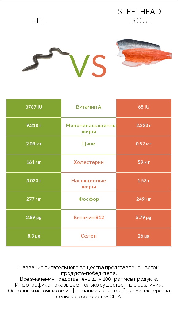 Eel vs Steelhead trout infographic