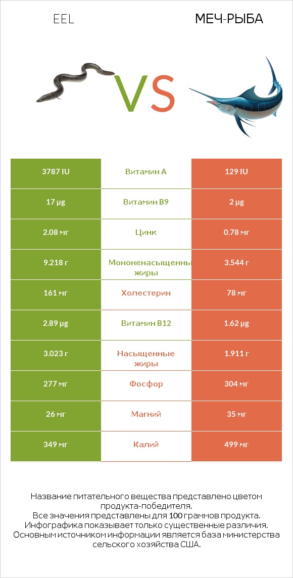 Eel vs Меч-рыба infographic