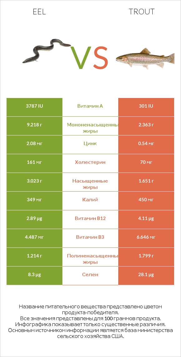 Eel vs Trout infographic