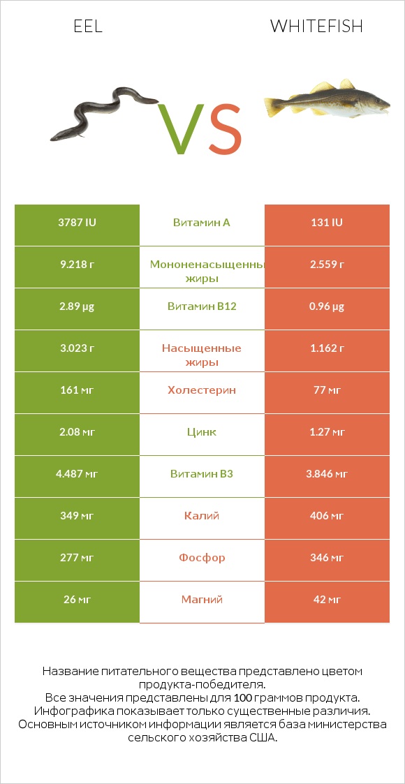 Eel vs Whitefish infographic