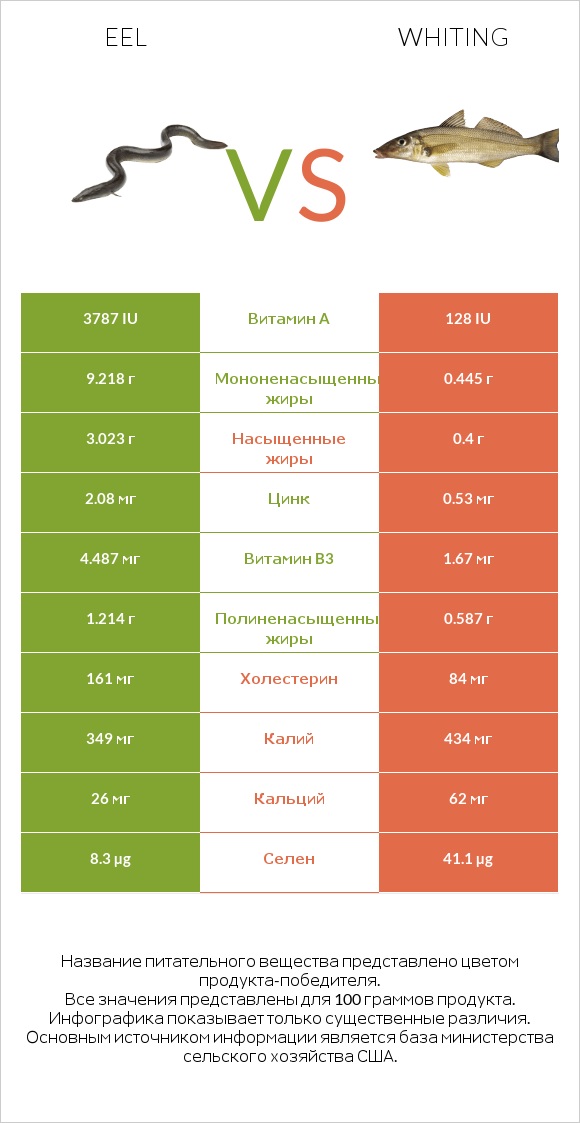 Eel vs Whiting infographic