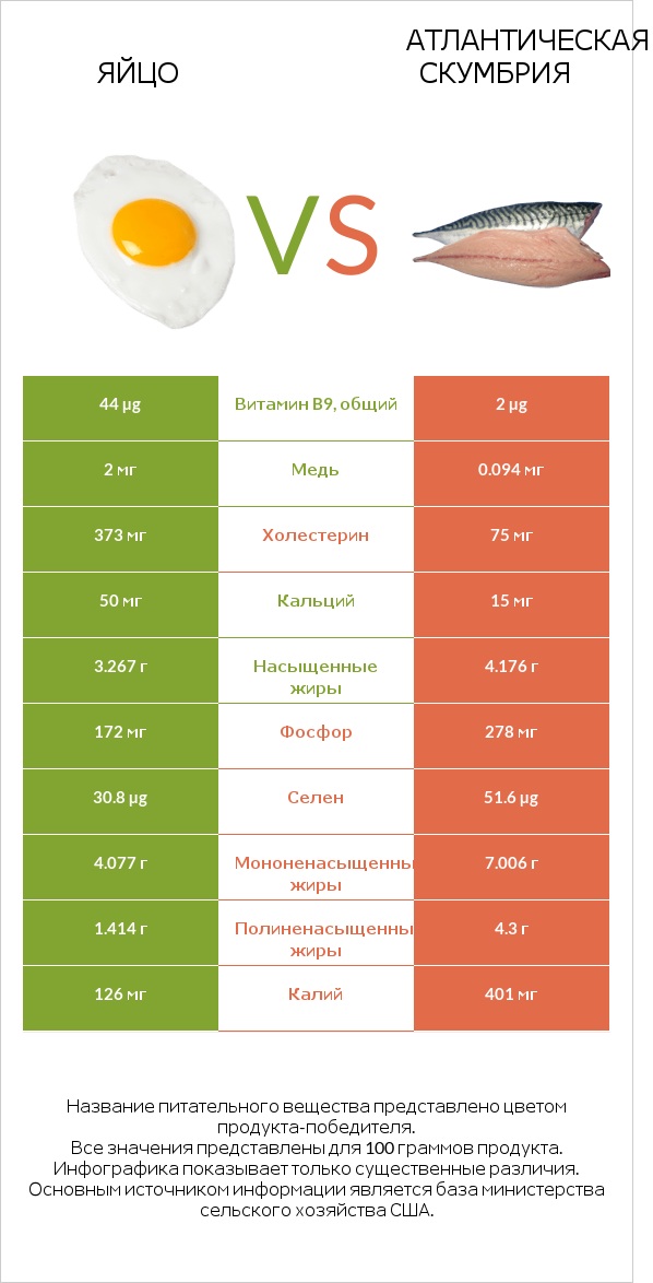 Яйцо vs Атлантическая скумбрия infographic