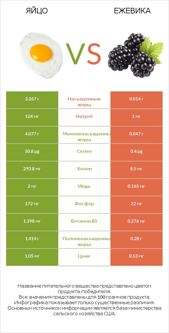 Яйцо vs Ежевика infographic